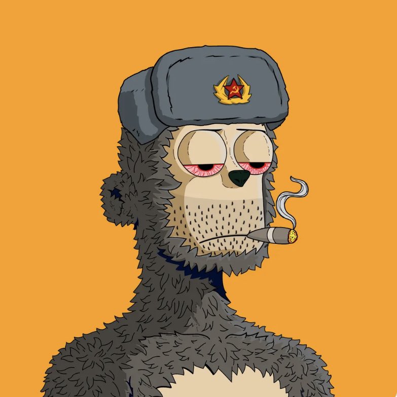 shameNsinner's tweet photo. @y00tsAnchorClub @y00tsNFT LFG 🔥⚓️ https://t.co/LV0BVHYaiA