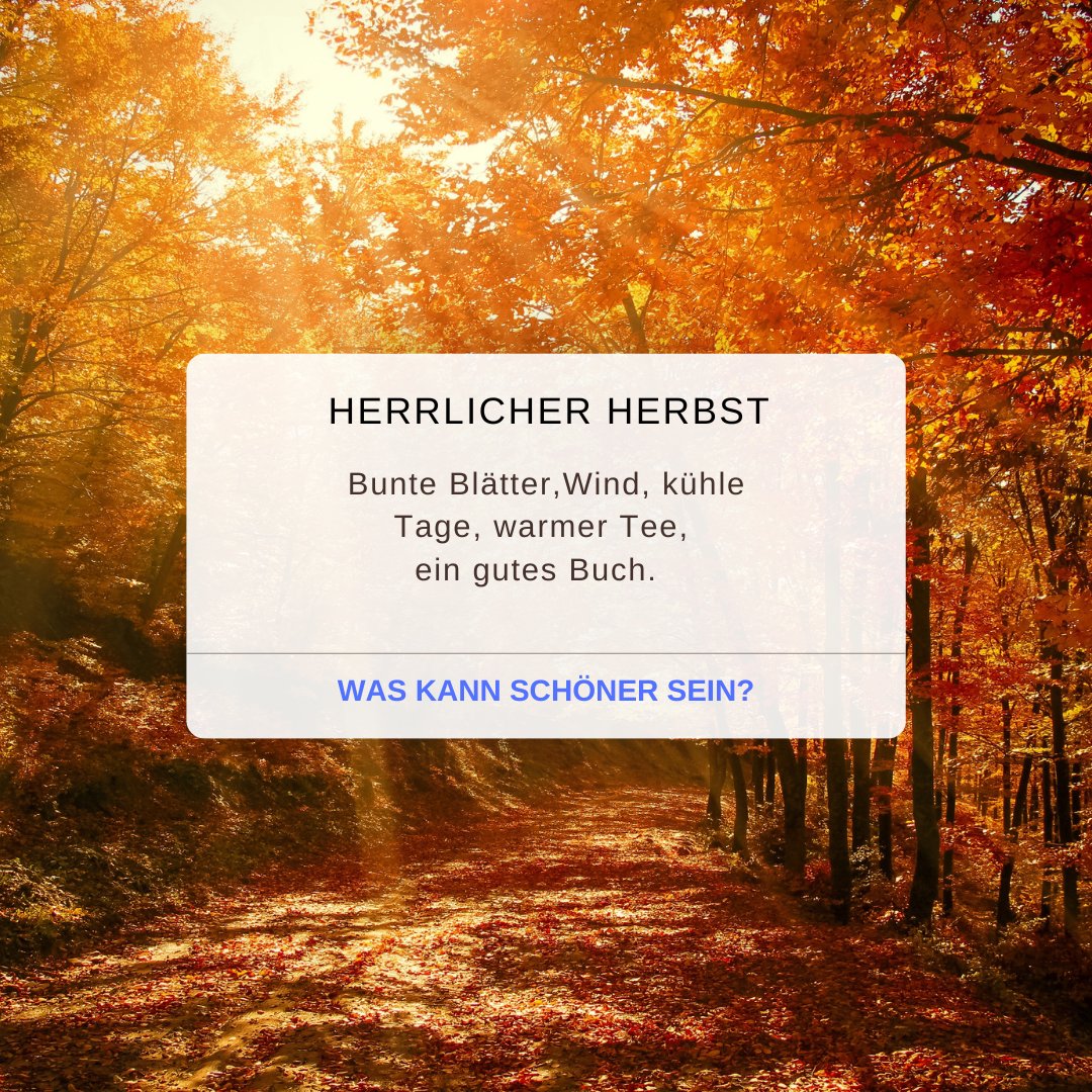 missiontrustme's tweet image. #Freitagsempfehlung #ff @HealthWithMusic @GesuOptimal @sarianas @Syltkrimiautor @Traumgeschichte @author_maren