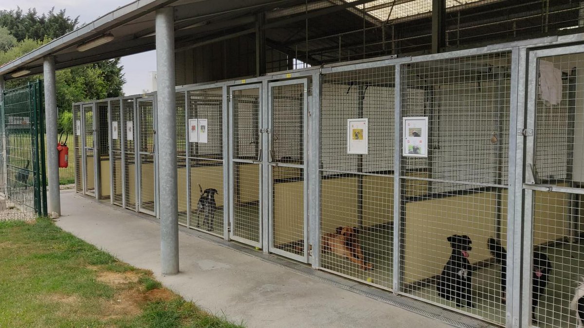 SPA Listenbourg🇮🇩 tweet media