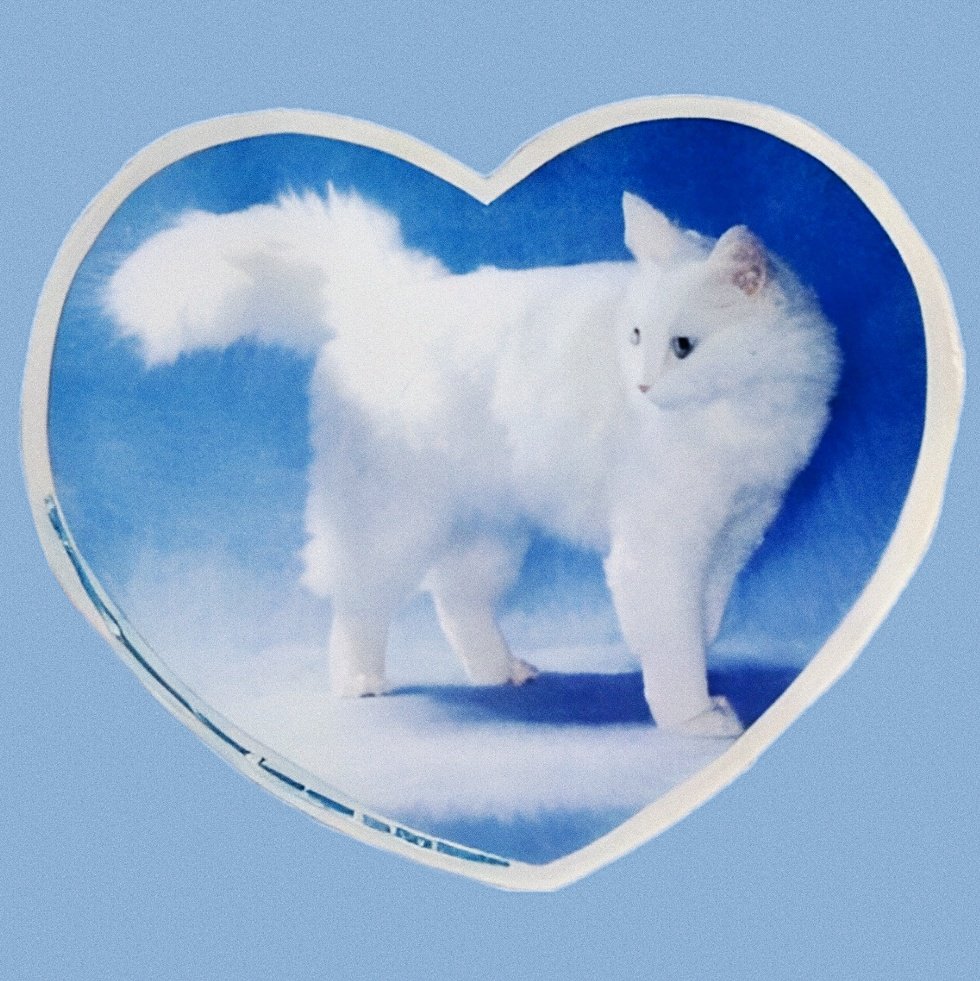 misul (art) 〄 *̥₊ inactiva tweet media