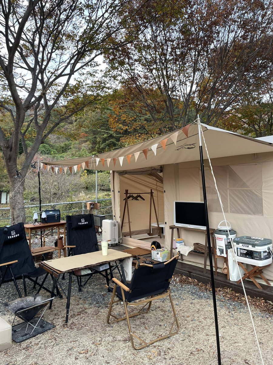 짙은 tweet media