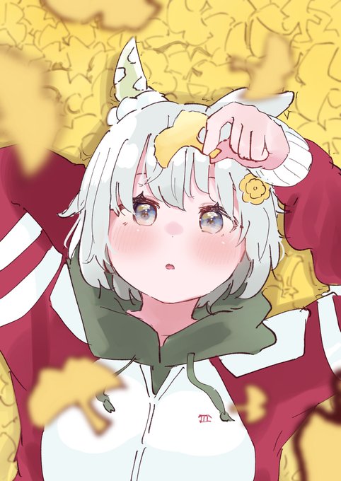 秋あつめ 
