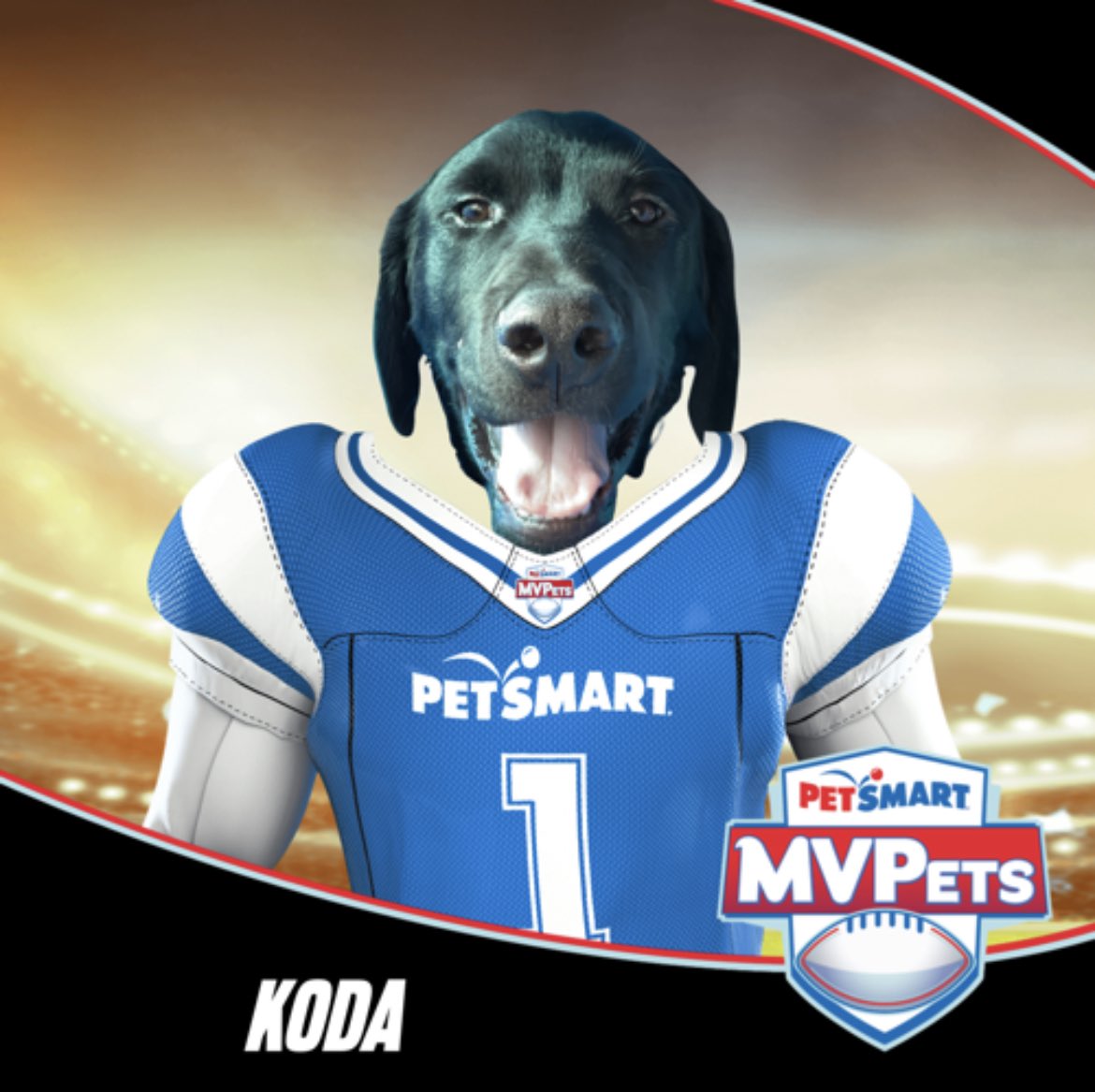 bmartpmart's tweet photo. #mvpet #anythingforpets @petsmart Watch out for this guy! https://t.co/7ZtuoaEz0d