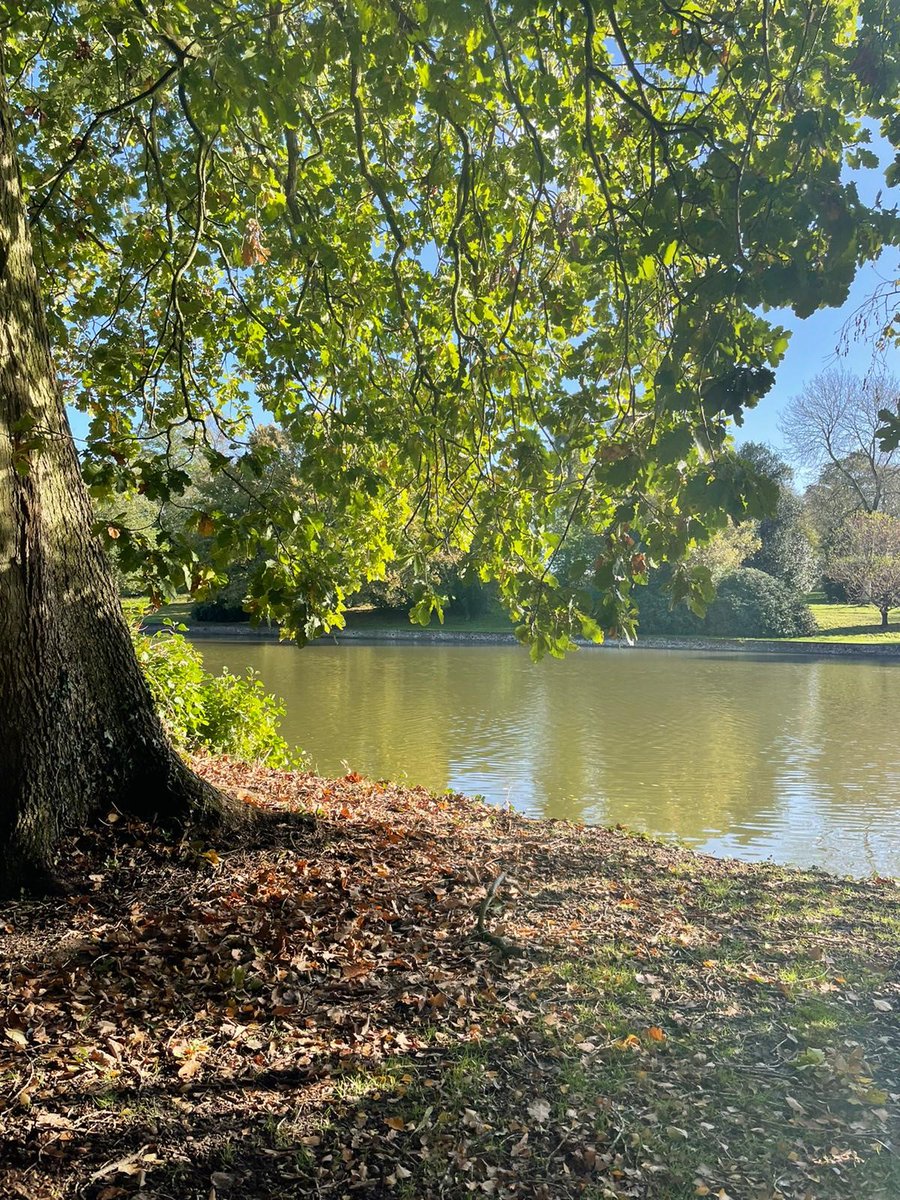 Braintree District Council tweet media