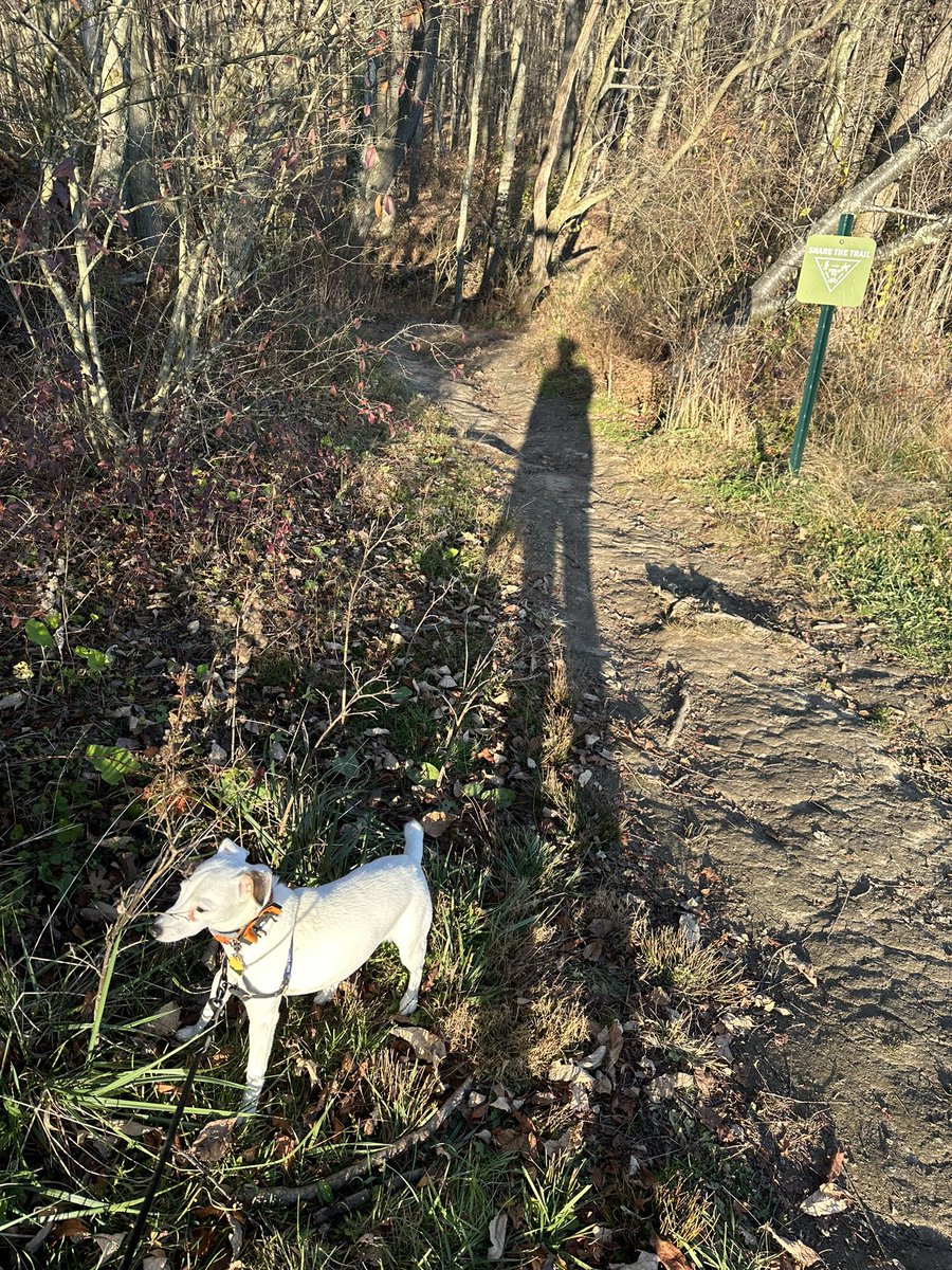 Amy 💚 tweet media