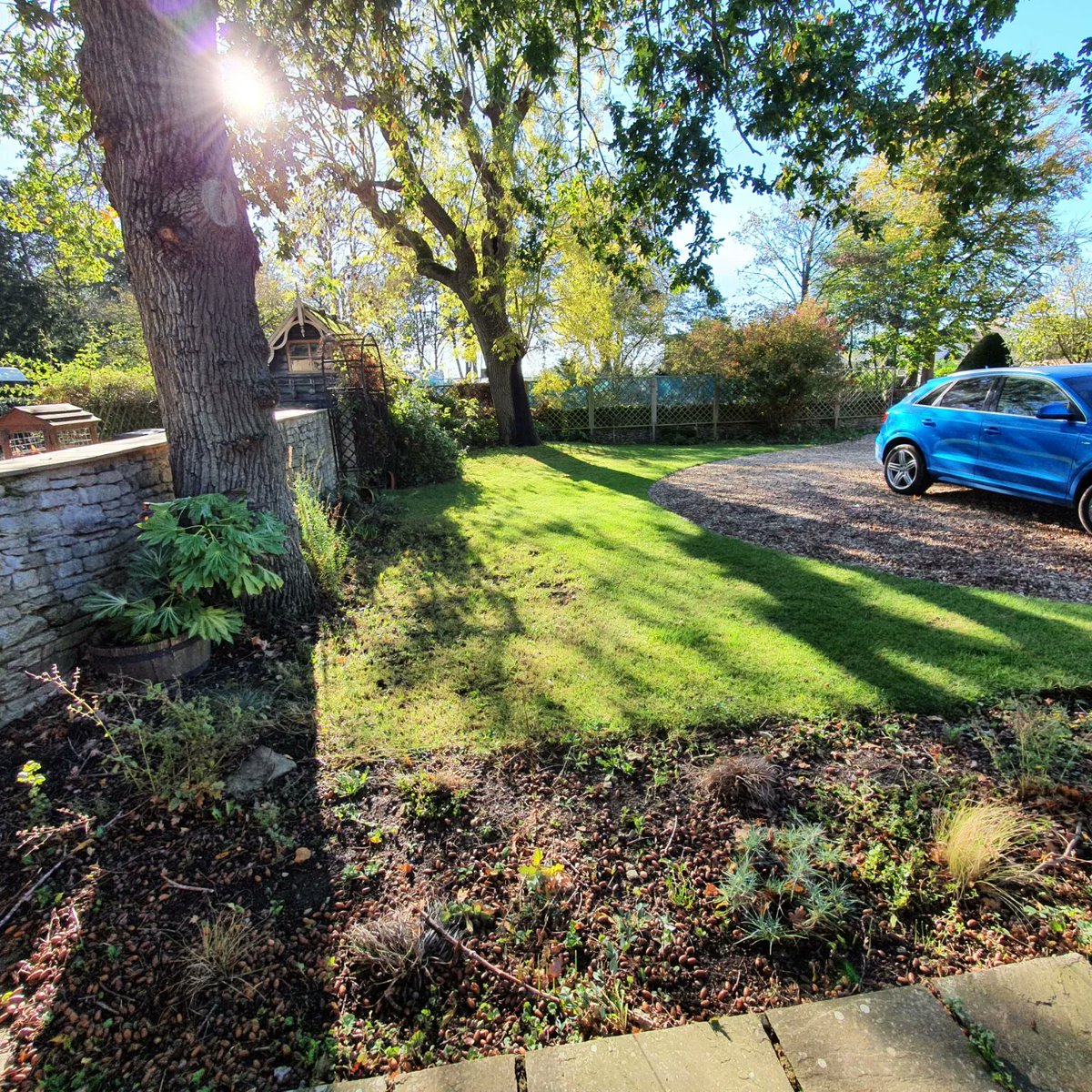Our leaf clearance work is underway! 

Here's a sneak peak of our before and after shots. Waste also taken away for the customer.