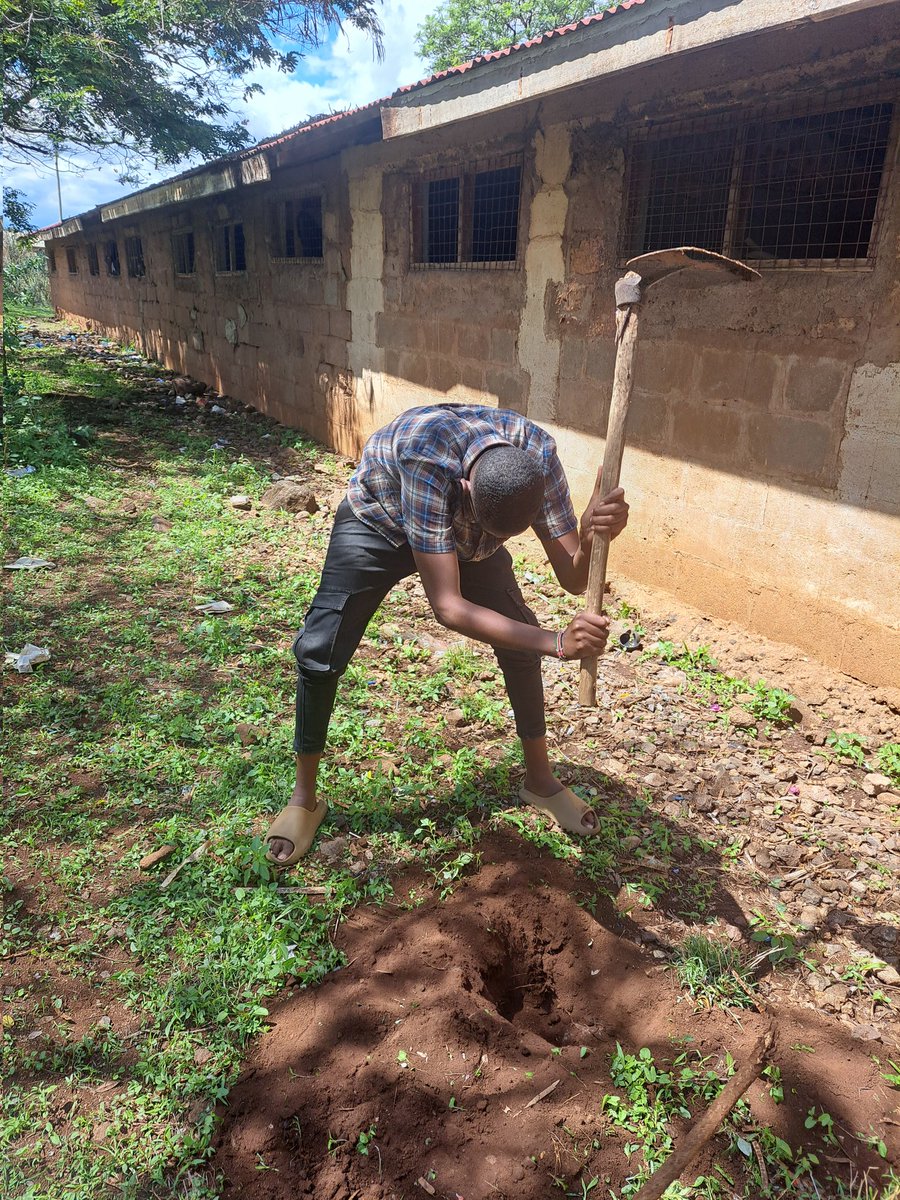 'He that plants trees,loves others beside himself'
Green action now,the greener the better😉.#ClimateAction #ActNow 
@KamilaMohamed7 @farm_wing @BsflProtein @ihalalafrica @karume_only @Yaqub_YHK