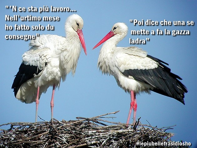 lefrasidiosho's tweet photo. In Italia è #emergenza demografica, numeri delle nascite sempre più bassi https://t.co/RXoiCmph6B