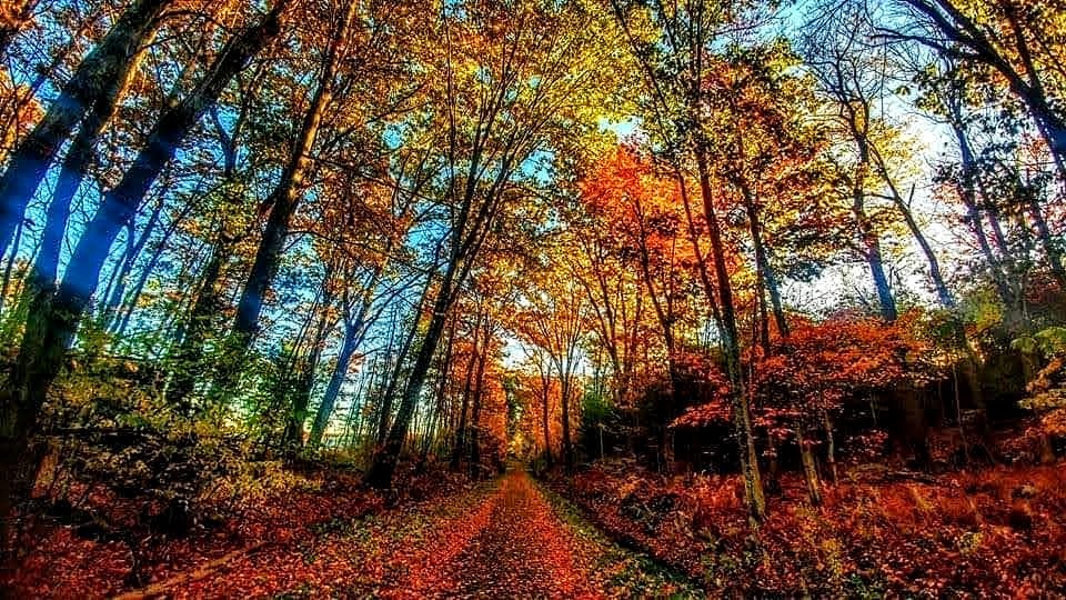 BiggerMarie's tweet photo. #GOODmorning ☕ #BackRoadsofNewEngland💛
#CentralMASS
#November2022 🍂 #centralMassachusetts 
#RutlandMa 🌇 #Autumn #centralMassRailTrail 🌻
#railtrail #NewEngland 🐳
#fall🍁 #CoffeeTime🧋
#October 🎃 
#cheerUp 🔆
#RutlandMassachusetts
#Worcester #Woosta https://t.co/Wf4K1dgzKT