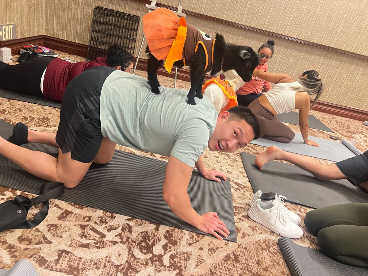 Rhinogram tweet media