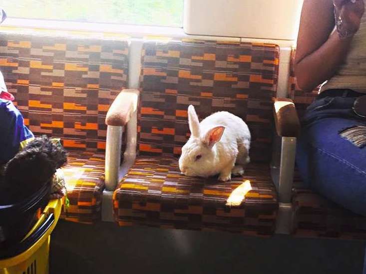 SPA Listenbourg🇮🇩 tweet media