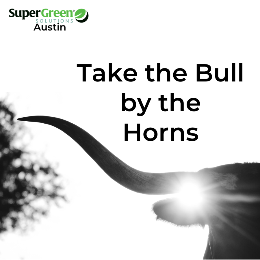 SuperGreenSol's tweet photo. Take the bull by the horns &amp; go solar! With over 300 days of sunshine a year, harness the sun with solar panels. Going solar saves you money, reduces or eliminates electricity bills, &amp; helps you rely less on the grid. Call for your customized solar analysis: 737-303-5118 https://t.co/RQoiduddWr
