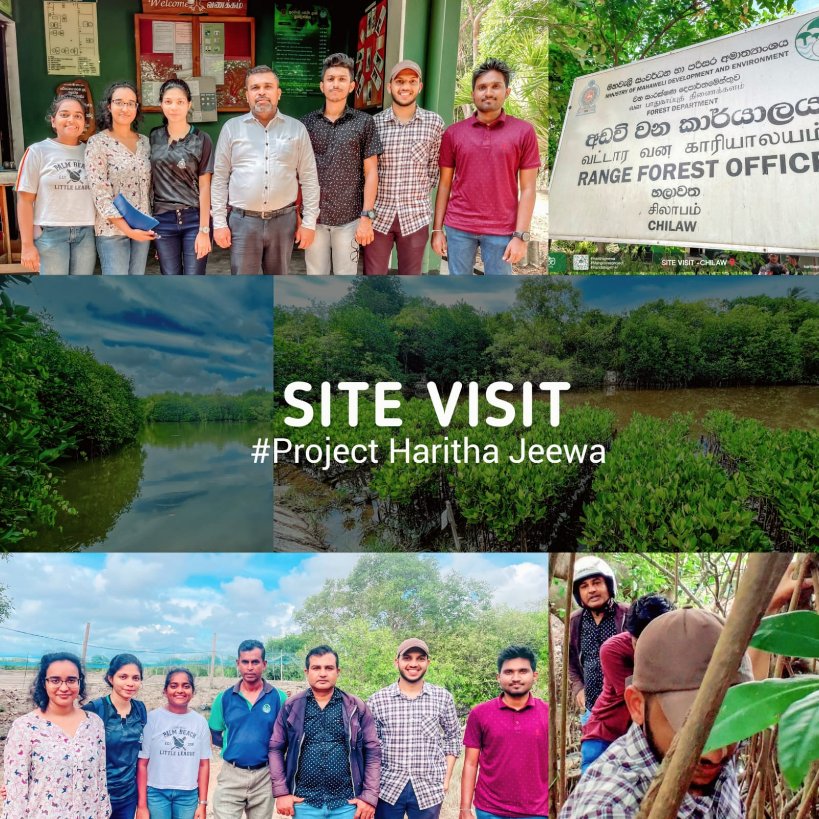 harithajeewa's tweet photo. We, UOC FMF visited Ambakadawila, Chillaw area as the initial step of our community development project ,where we plan to plant 1000 mangrove plants. 🌱💚

*Full photo Album Link* 👇
  (Cilck to view)

https://t.co/8K5nrnH8Y0 https://t.co/DVRAXjhG2U