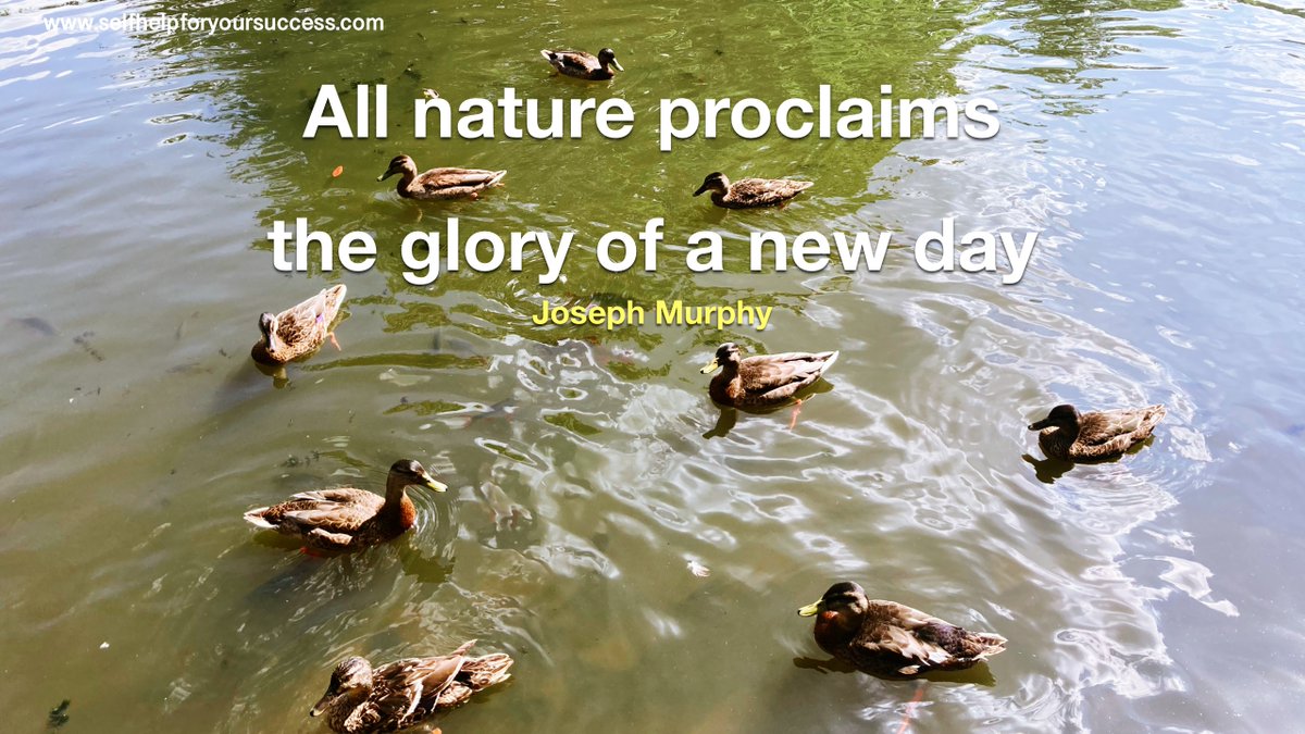 themerry_monk's tweet photo. Nature is enormous, abundant, beautiful and all around us. #inspiration #Life https://t.co/kPS38HsaHt