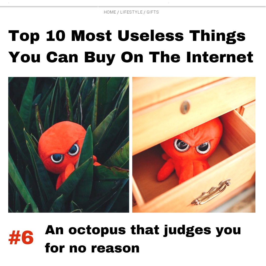 The Grumpy Octopus (@agrumpyoctopus) on Twitter photo 