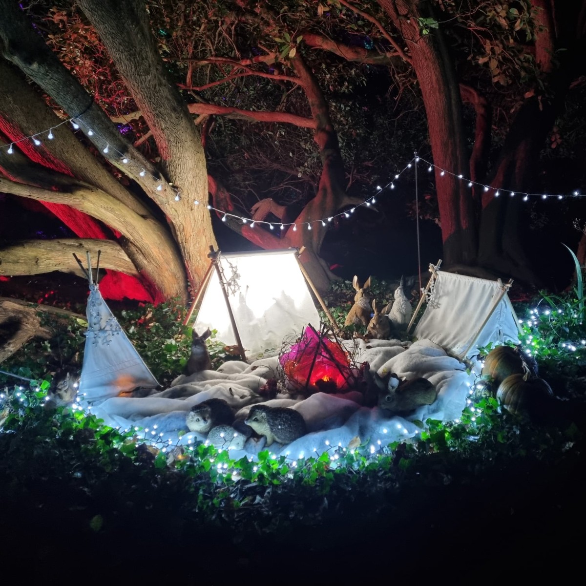 Only one more week until our first Enchanted Woodland event of 2022!

We cannot thank the sheer dedication and commitment of our team who have been working so hard in the run up to the event next Friday.

Make sure you book your tickets ahead of the event: fal.cn/3tkDO