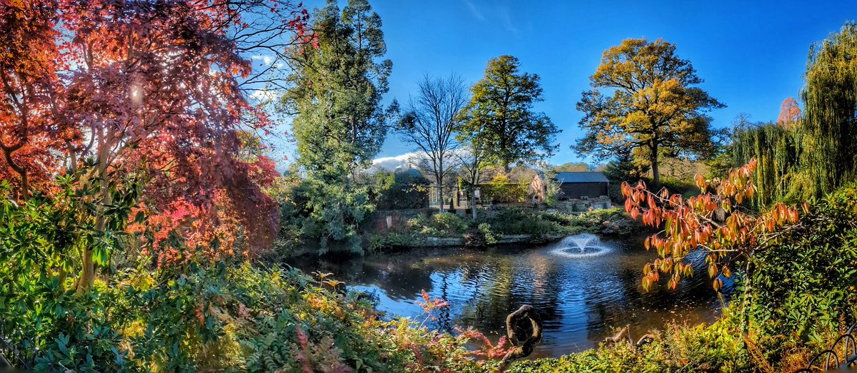 Lee Roberts tweet media