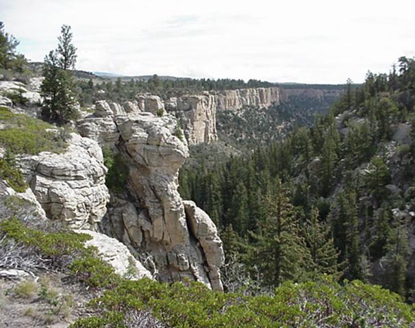 AmericanWestCtr's tweet photo. The Quitchupah Creek area is sacred to the Paiutes. Quitchupah means Watering Places, and the area contains many important spiritual, medicinal, and gathering places. The Paiutes hold connections to this area through these places and the rock art in the canyon. https://t.co/q4WUTDA6gH