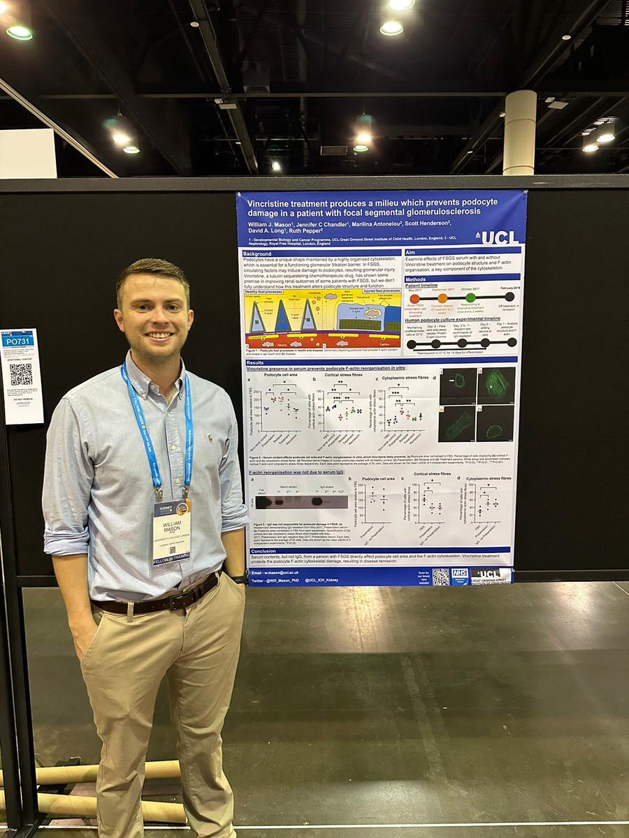 I will be presenting my work on how vincristine stabilises the podocyte cytoskeleton at poster number 731, come along for a chat if you like 😄 #KidneyWk