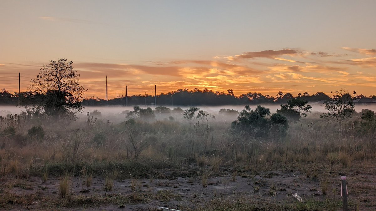 BadoleLinesh's tweet image. Can&apos;t believe it&apos;s straight out of #Pixel7 @madebygoogle #shotonpixel  #morning #walk beautiful @CityofTampa ♥️