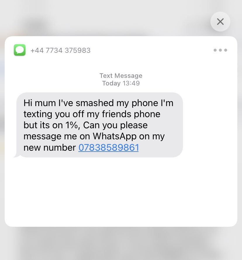 TedsMum tweet media