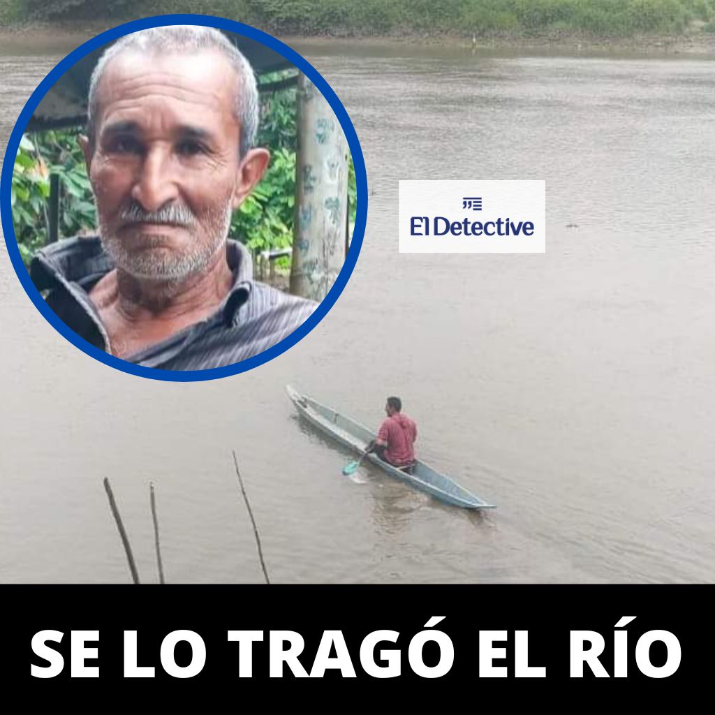 El Detective tweet media