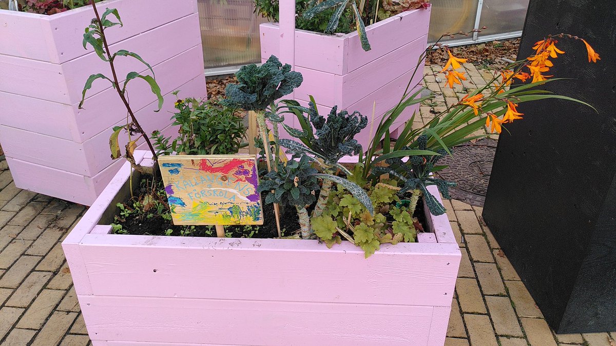 Ludwig Bengtsson Sonesson tweet media