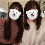 ツイートに含まれる画像