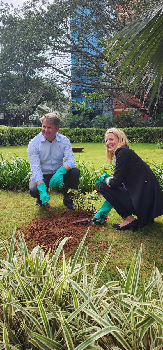 Dave Shull tweet media