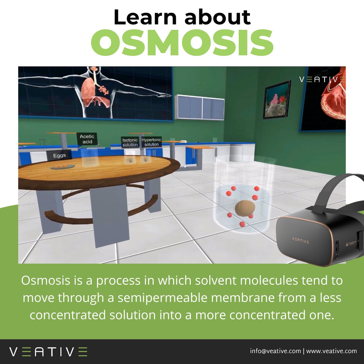 We invite you to explore one of our 600+ interactive VR modules like this one on Osmosis.