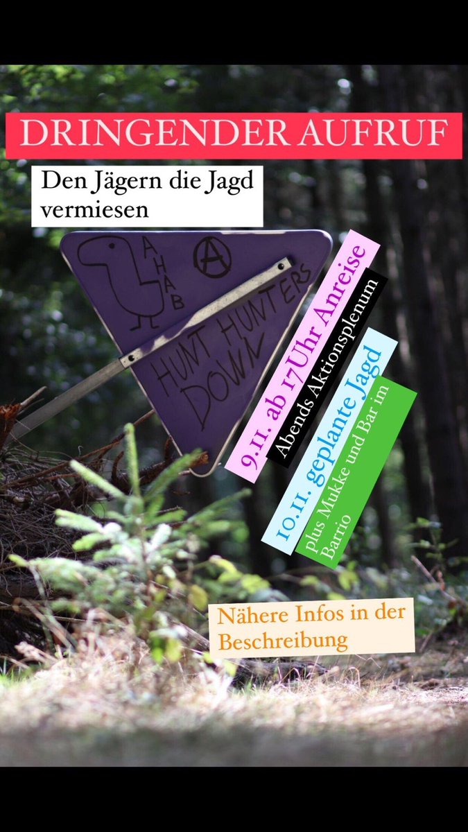 Gestern hatten wir Besuch von Jägern. Sie möchten am 10.11. im Waldi45 jagen. Einer von ihnen drohte uns, dass wir an diesem Tag bloß nicht im Wald herumlaufen sollen um nicht mit Tieren verwechselt und erschossen oder von sogenannten „Querschlägern“ getroffen werden.
