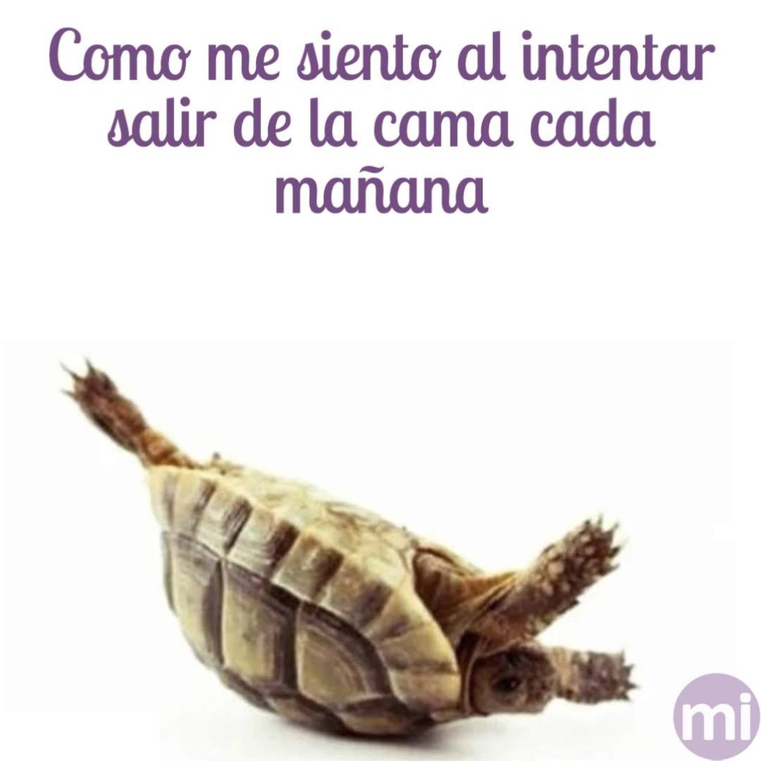 Simplemente. no. puedo. salir. de. la. cama. 🤣

👍 ¡Dale me gusta si te sentiste igual esta mañana! ♥️

Descubre todo sobre #embarazo &amp; #maternidad ingresando a nuestra página web ➡miembarazo.com.co