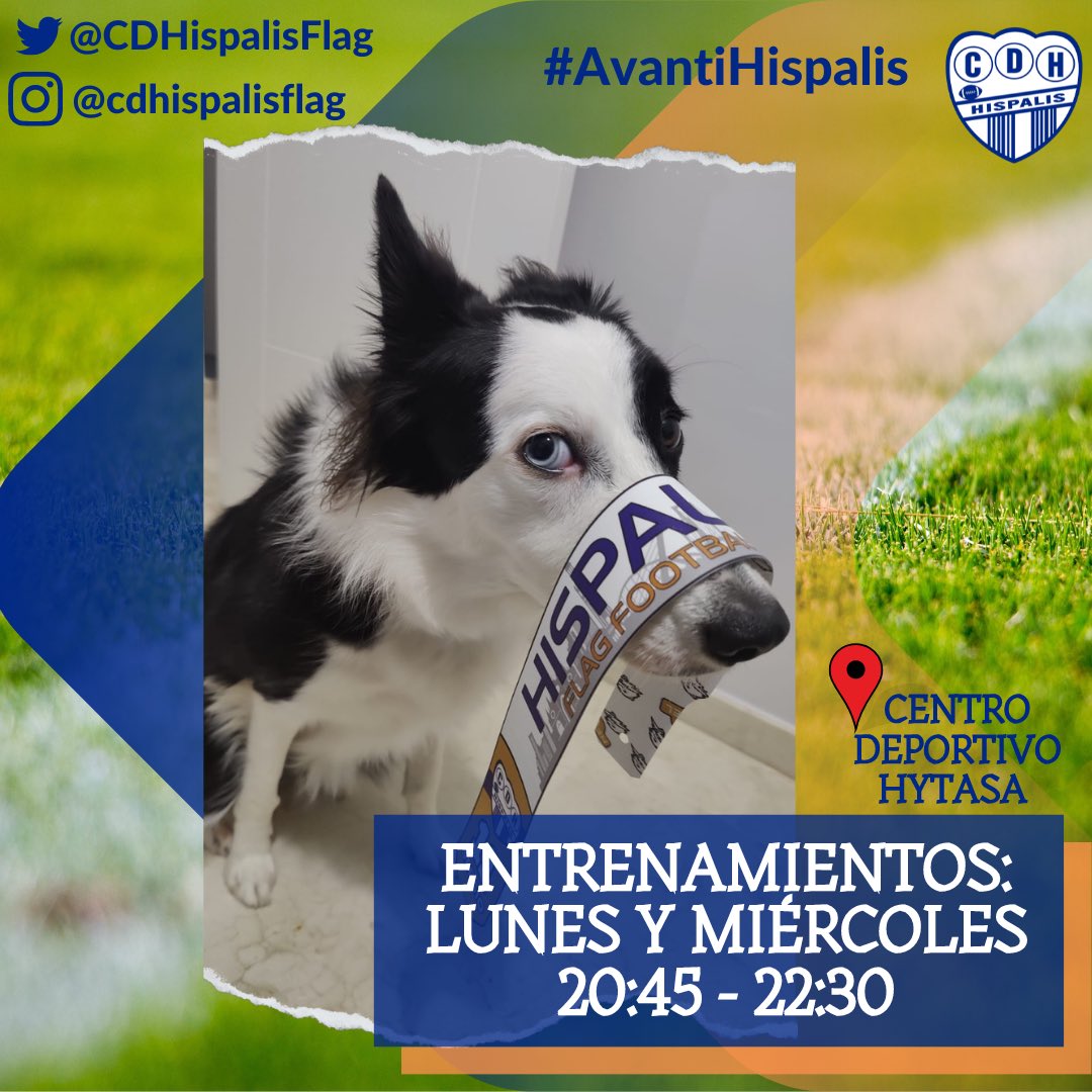 “Hagas lo que hagas, hazlo intensamente”

Él se apunta… ¡ahora sólo faltas tú! 

¿Quieres venir a probar el flag en un ambiente de compañerismo y buen rollo?

CD Hytasa L/X 20.45 a 22.30. (Entrada desde la esquina de la gasolinera del alcampo) 

#AvantiHispalis