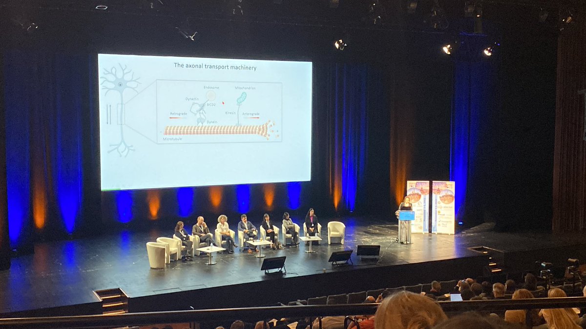 Amazing talk by Laura Fumagalli @isftd on how hexanucleotide expansions in C9orf72 alter the transport of mitochondria along axons! @CMN_VIB @VIBLifeSciences @UAntwerpen