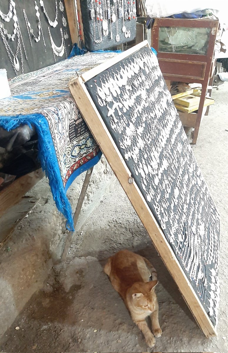 ctgchatter's tweet photo. A few of the felines I had the pleasure of meeting while soaking in the atmosphere of
Khan el-Khalili, a famous bazaar and souq in the historic center of Cairo.
#catsofCairo 😻 https://t.co/qDgRWrMvmD