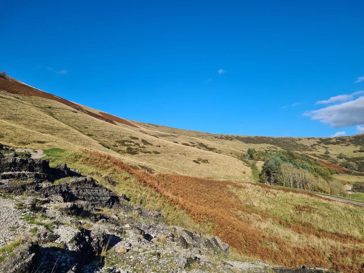 Anna Kirk tweet media