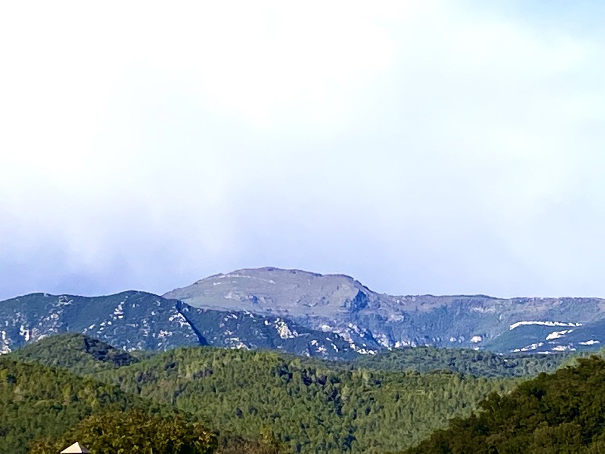 Joan Sala Torrent tweet media