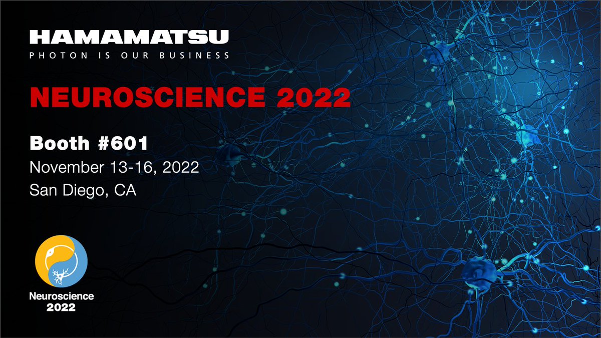 HamamatsuPhoton's tweet photo. We'll be at Neuroscience, Nov 13-16 at the San Diego Convention Center, booth #601. Ask our experts about our unique scientific camera, the #ORCAQuest. Designed for low noise, with a large chip &amp; small pixels, and a photon number resolving mode. Learn more https://t.co/5ynnUa26Bu https://t.co/iv4w4Zv8Yb