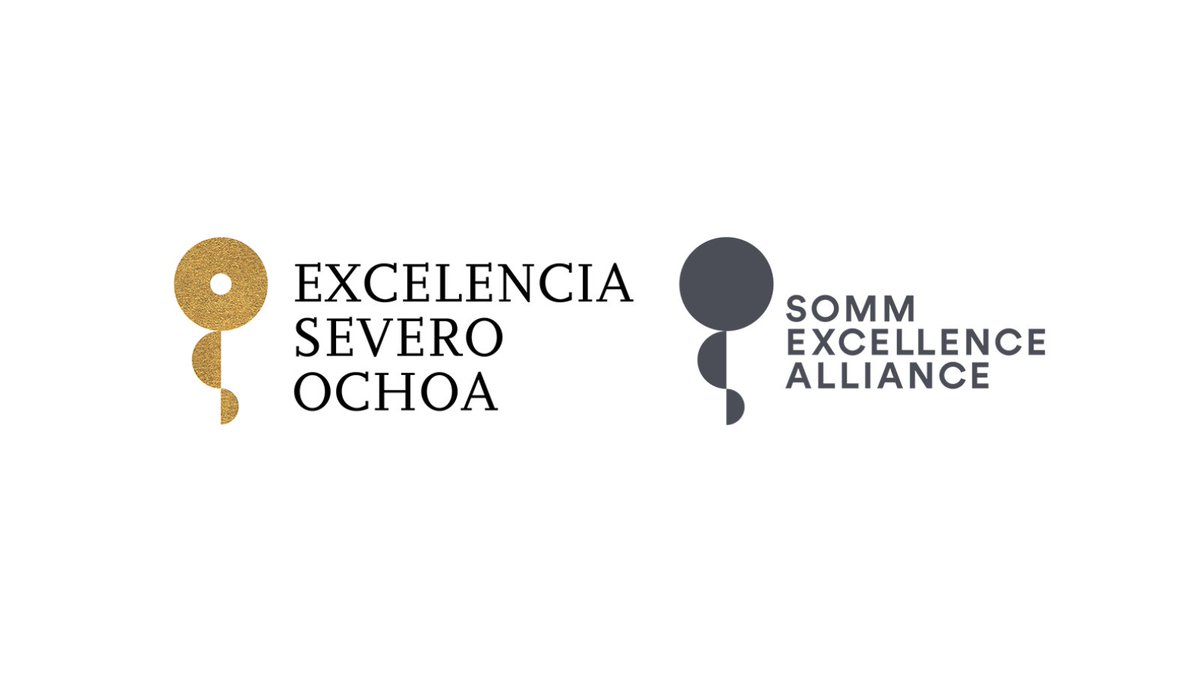 Today we are celebrating! We have been recognised for the third time as a Severo Ochoa Centre of Excellence by the State Research Agency.

Thanks to all the BCAM team for their commitment and dedication.

Congratulations to all!