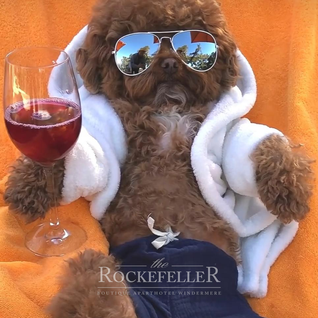 Heat or eat? It's nice and warm in the Rockefeller. Come and stay - last minute cancellations available next week - DM us for a discount code. therockefeller.co.uk #cavapoo #LakeDistrict #staycation #romantic #weekendfun