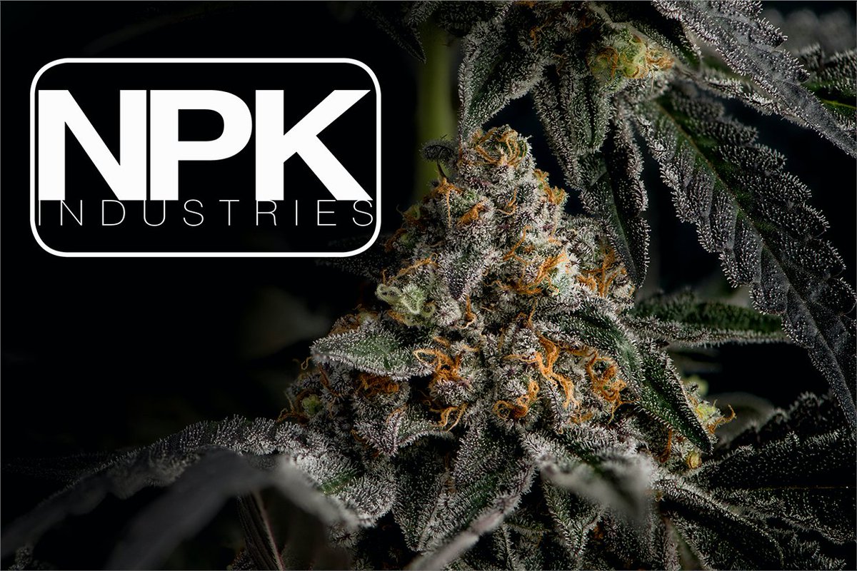 npkindustries's tweet photo. We've been helping people grow for over ten years now, and we have no intentions of slowing down! Between the education we offer and our extensive line of plant nutrition products, we have something for every gardener, no matter what you grow. 

https://t.co/QPTPEeKLJE https://t.co/HgH94iHUYr
