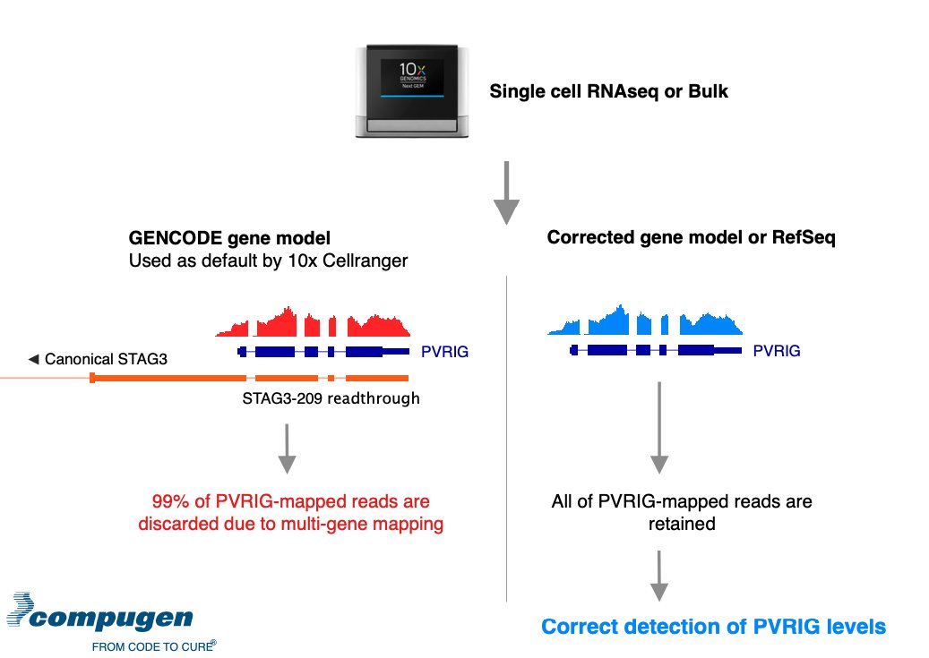 Roy Granit tweet media