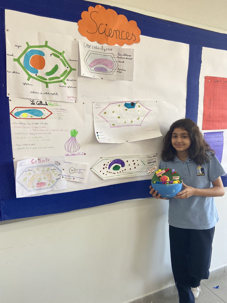 Pour terminer le chapitre la diversité des êtres vivants, les élèves de 6ème ont développé leur créativité et ont fabriqué en utilisant le matériel de notre quotidien des maquettes de cellule. <a href="/dina_jradi/">Dina Jradi</a> <a href="/DidiSaleh10/">Diana Saleh</a> @bakkaraicha <a href="/Hhhsinfo/">Houssam Hariri HS</a>