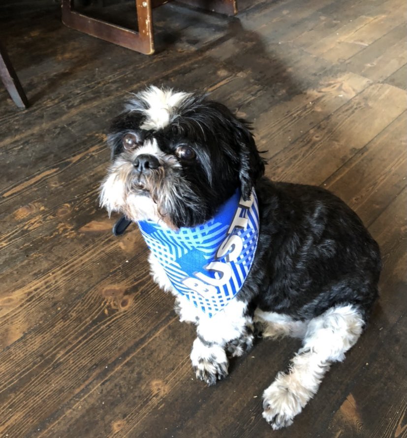 White Swan tweet media