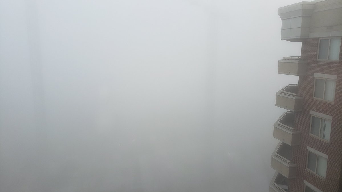 erick_ferris's tweet photo. 🌫 My brother is WFH inside of a cloud today… #Foggy #VirginiaSquare #ArlingtonVA #VAwx https://t.co/K0ofDLkSSO
