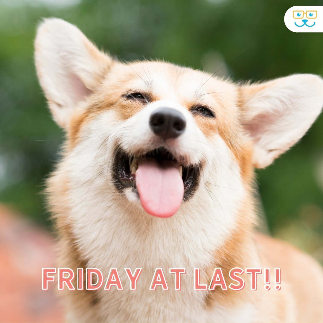 sugar_animal's tweet image. CHEESE! #FridayFeeling #sugarriverahgratham #grathampets #sugarriveranimalhospital #sugarriverah.