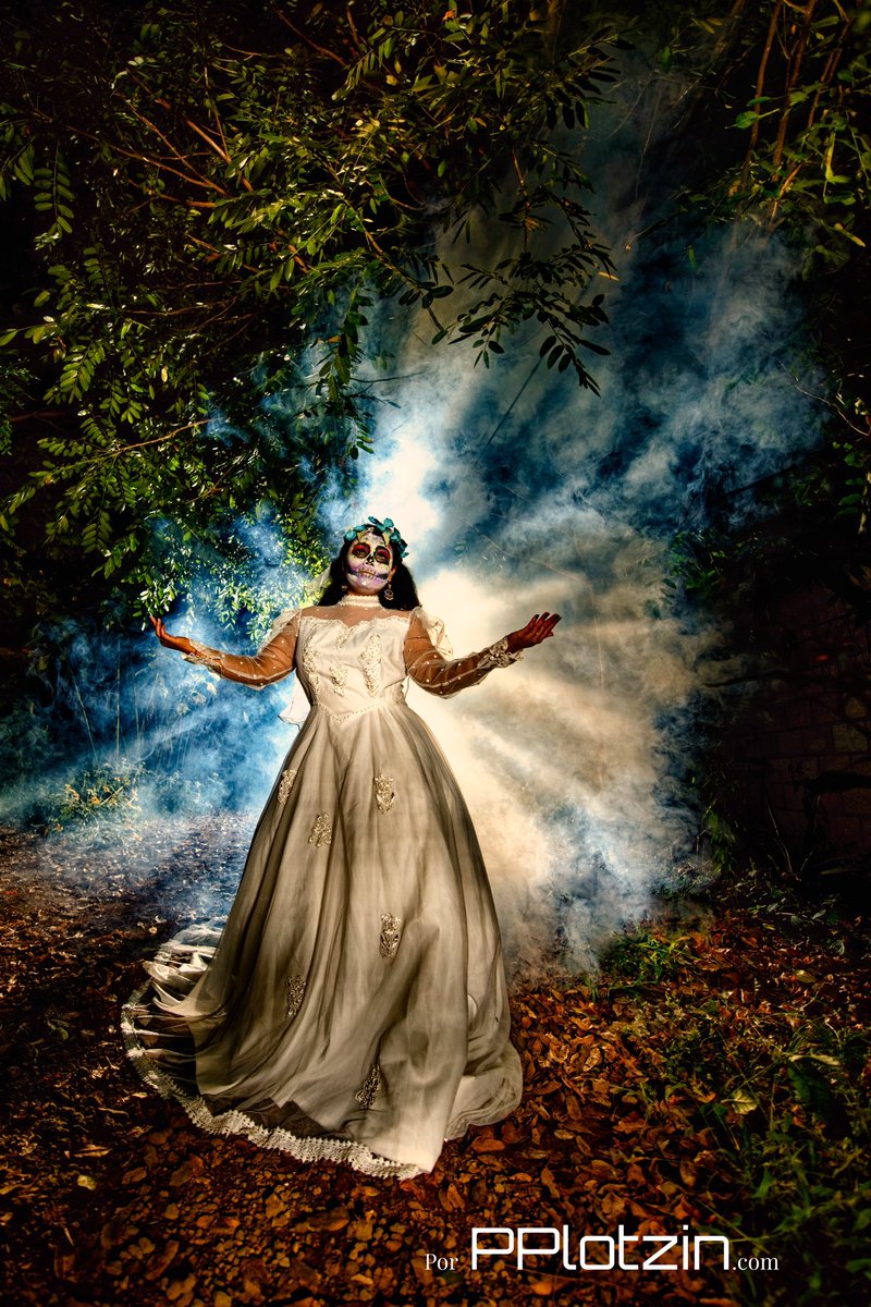 PPlotzin Bárcenas tweet media