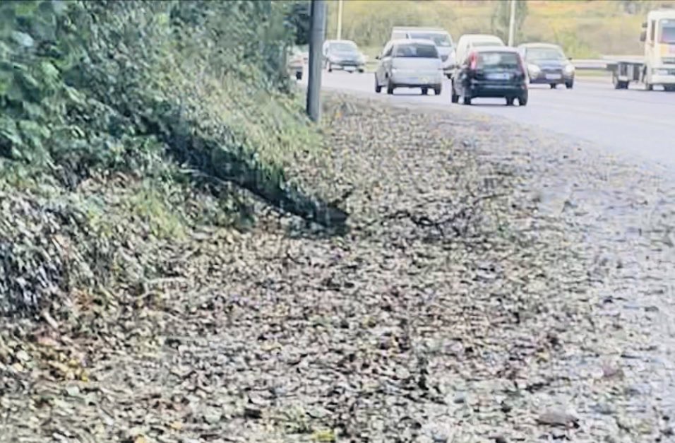 It’s been stormy last few days … Thks to all front line emergency crews helping to keep us all safe.  Hopefully ⁦<a href="/GalwayCityCo/">Galway City Council</a>⁩ will get a chance to tidy few bad patches on some paths soon … 🍁