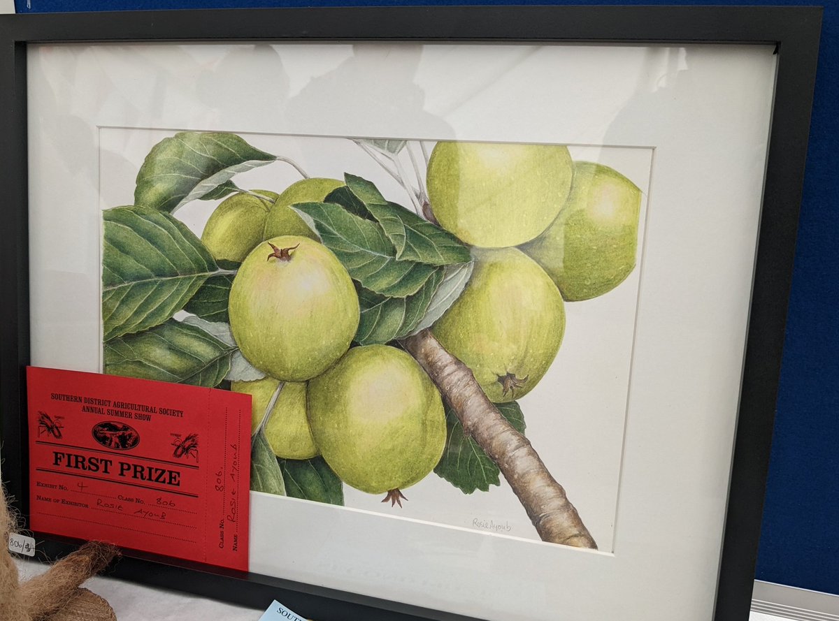 Lastly, a version of my prize winning apples are up for grabs. 
Accepting #Bitcoin for artwork on the #isleofman tomorrow is very exciting.
