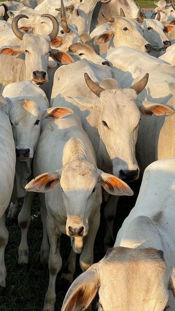 Si te emociona pensarlo, imagínate cuando lo logres 🫡